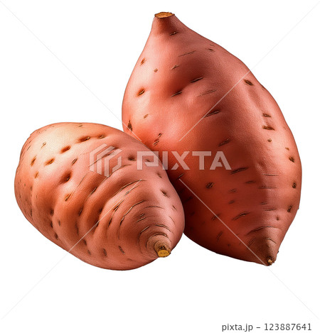 さつまいものグラフィック素材（JPEG/PNG） 123887641