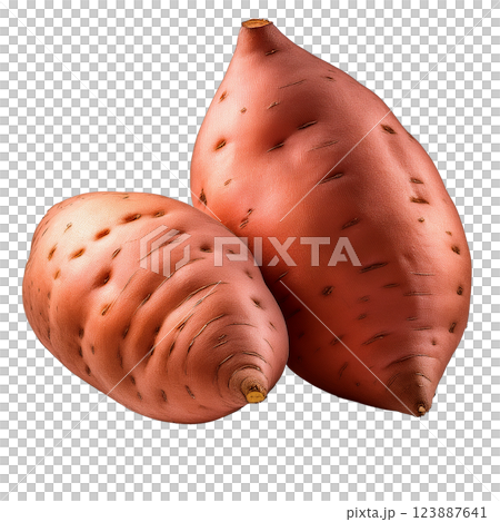 さつまいものグラフィック素材（JPEG/PNG） 123887641