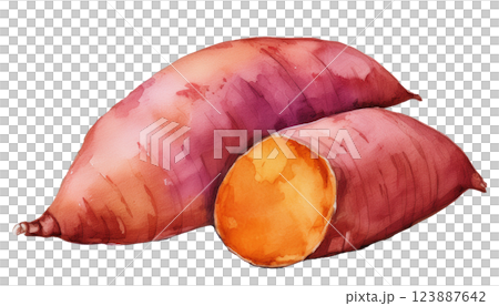 焼き芋の水彩イラスト(JPEG/PNG) 焼き芋の水彩イラスト(JPEG/PNG) 123887642