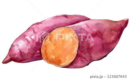 さつまいものイラスト（JPEG/PNG） 123887643