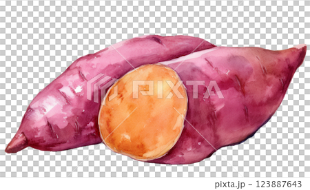 さつまいものイラスト（JPEG/PNG） 123887643