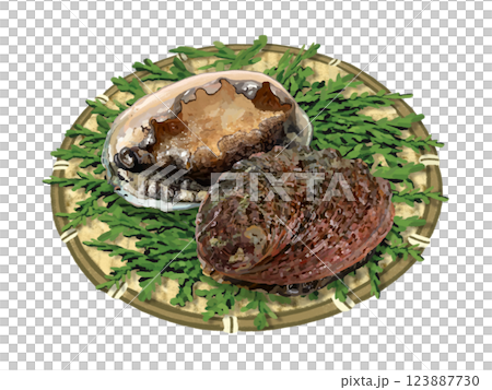 アワビ（ザル、檜の葉付き） 123887730