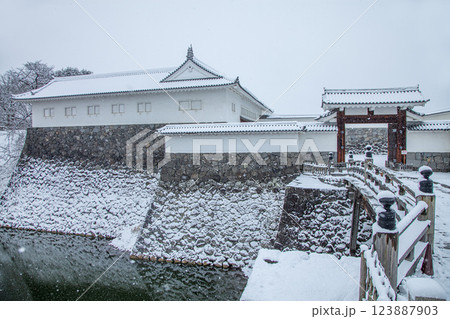 冬の東大手門 123887903