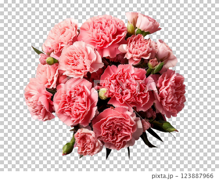 母の日カーネーションの花束ブーケ俯瞰 123887966