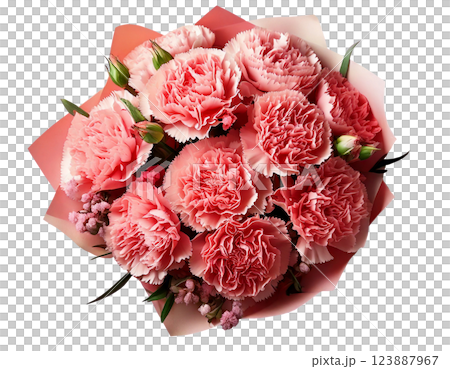 母の日カーネーションの花束ブーケ俯瞰 123887967