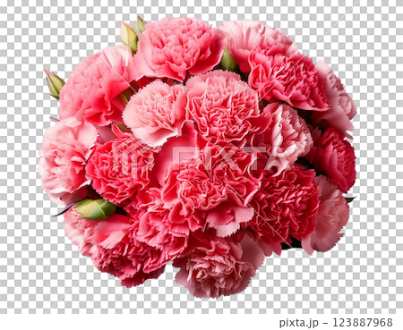 母の日カーネーションの花束ブーケ俯瞰 123887968
