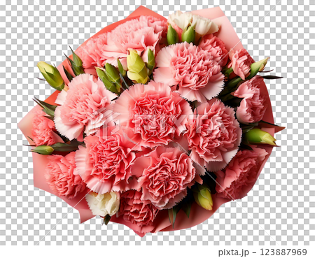 母の日カーネーションの花束ブーケ俯瞰 123887969