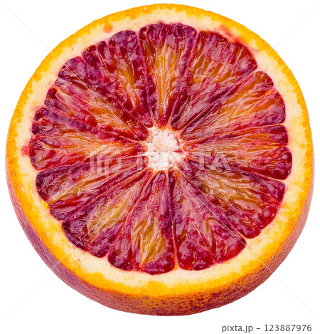 ブラッドオレンジのグラフィック素材（JPEG/PNG） 123887976