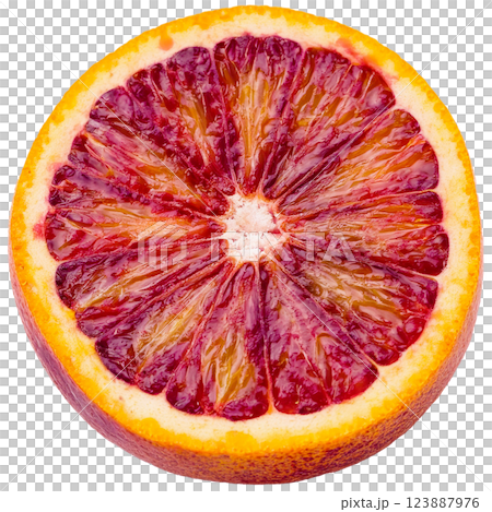 ブラッドオレンジのグラフィック素材（JPEG/PNG） 123887976