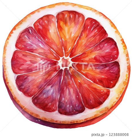 ジューシーなブラッドオレンジ、カットフルーツの水彩イラスト素材(JPEG/PNG) ジューシーなブラッドオレンジ、カットフルーツの水彩イラスト素材(JPEG/PNG) 123888008