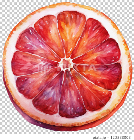 ジューシーなブラッドオレンジ、カットフルーツの水彩イラスト素材(JPEG/PNG) ジューシーなブラッドオレンジ、カットフルーツの水彩イラスト素材(JPEG/PNG) 123888008