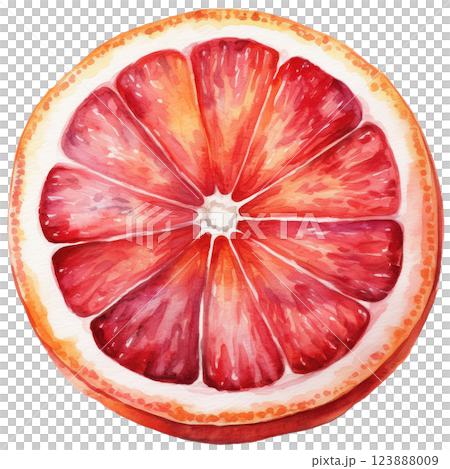 ジューシーなブラッドオレンジ、カットフルーツの水彩イラスト素材（JPEG/PNG) 123888009