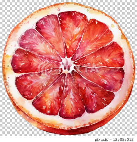 多汁的血橙、切水果水彩插畫素材(JPEG/PNG) 多汁的血橙、切水果水彩插畫素材(JPEG/PNG) 123888012