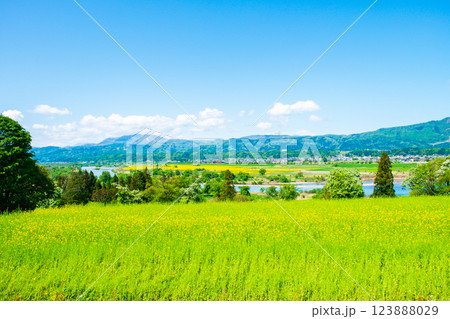 飯山市・菜の花公園 123888029