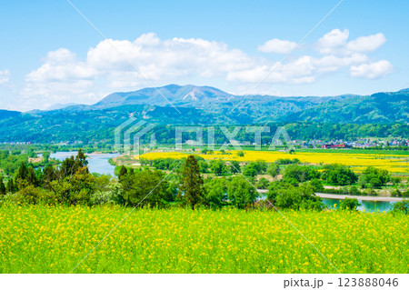 飯山市・菜の花公園 123888046