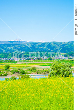 飯山市・菜の花公園 123888082