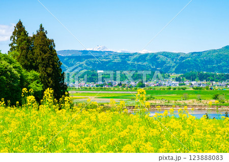 飯山市・菜の花公園 123888083