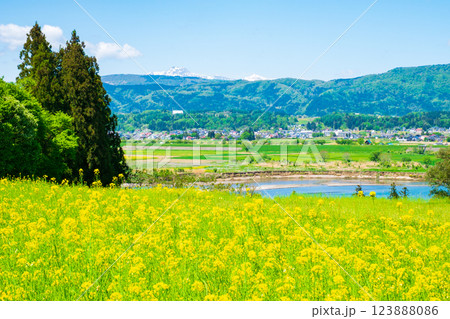 飯山市・菜の花公園 123888086