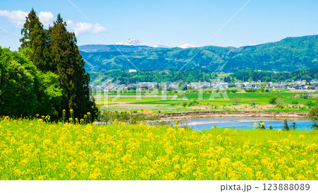 飯山市・菜の花公園 飯山市・菜の花公園 123888089