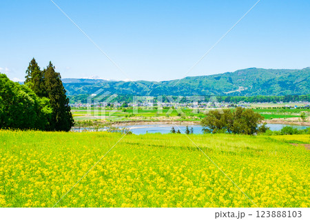 飯山市・菜の花公園 飯山市・菜の花公園 123888103