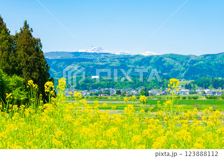飯山市・菜の花公園 123888112