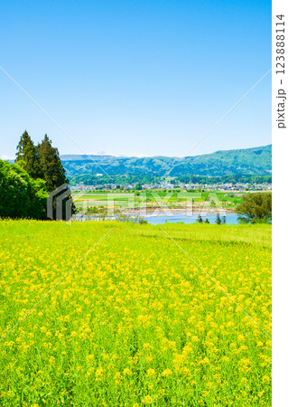 飯山市・菜の花公園 飯山市・菜の花公園 123888114