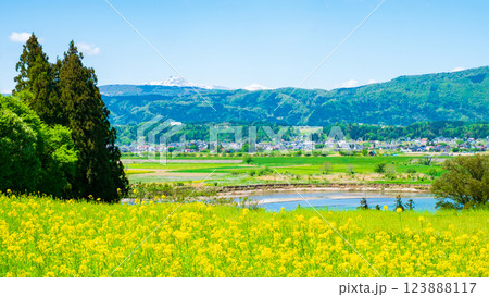 飯山市・菜の花公園 123888117