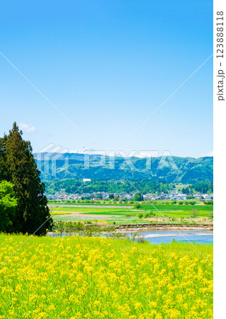 飯山市・菜の花公園 123888118