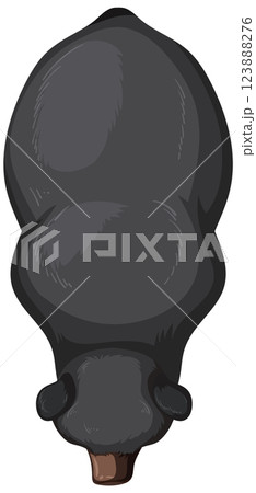 Top View of a Black Bear Top View of a Black Bear 123888276