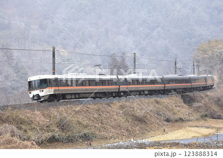 【JR東海】冬の383系 特急「しなの」（中央本線：倉本〜須原） 123888314