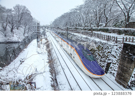 新幹線つばさ 123888376