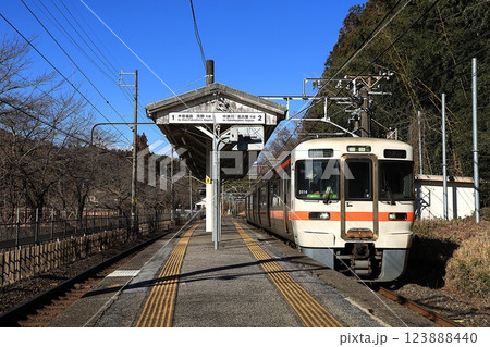 【JR東海】313系1300番台(中央本線:落合川駅) 【JR東海】313系1300番台(中央本線:落合川駅) 123888440