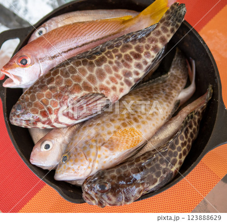 Fresh fish 123888629