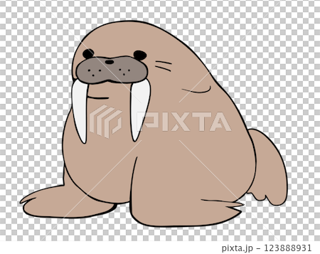 圓海象 圓海象 123888931