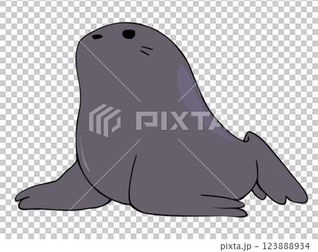 まるっこい アシカ 123888934