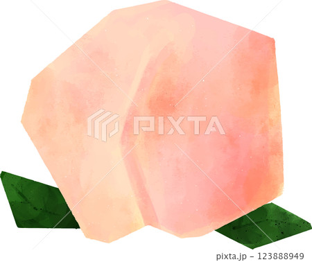 葉が付いた桃のイラスト 123888949