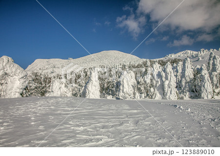冬の蔵王 123889010