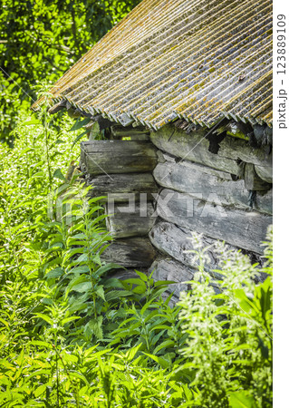 Part of the abandoned wooden hut Part of the abandoned wooden hut 123889109