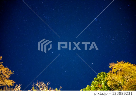 秋 満天の星空 秋 満天の星空 123889231
