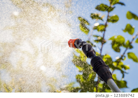 Spraying trees against pests 123889742