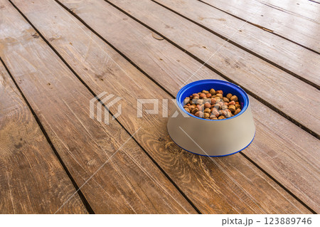Feeder for dogs 123889746