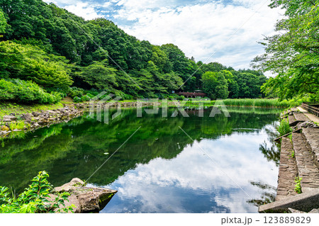 【神奈川県】豊かな自然に恵まれた大和市にある泉の森 【神奈川県】豊かな自然に恵まれた大和市にある泉の森 123889829