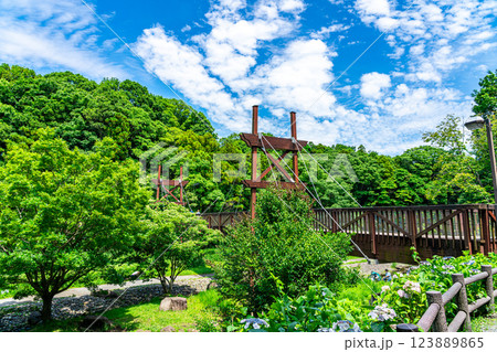 【神奈川県】大和市にある泉の森の緑のかけ橋 【神奈川県】大和市にある泉の森の緑のかけ橋 123889865