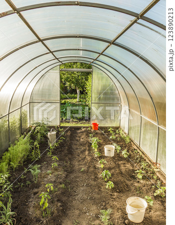 Inside the greenhouse Inside the greenhouse 123890213