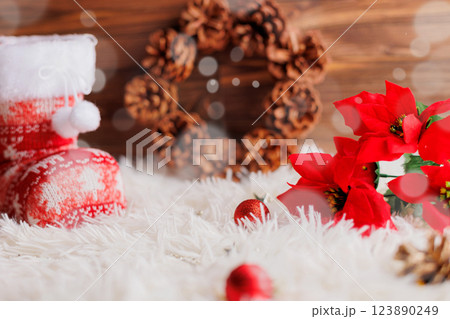 クリスマス クリスマス 123890249