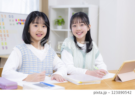 リビングで宿題をする姉妹 リビングで宿題をする姉妹 123890542