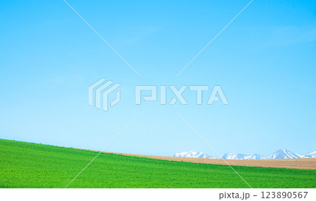春の北海道らしい清涼感ある風景 123890567