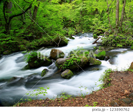 奥入瀬渓流　青森県 123890762