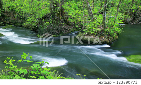 奥入瀬渓流　青森県 123890773