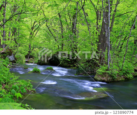 奥入瀬渓流　青森県 123890774